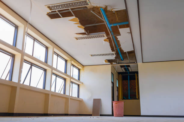 Best Carpet water damage restoration  in French Valley, CA
