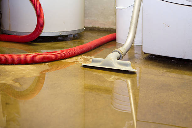 Best Water damage restoration process  in French Valley, CA