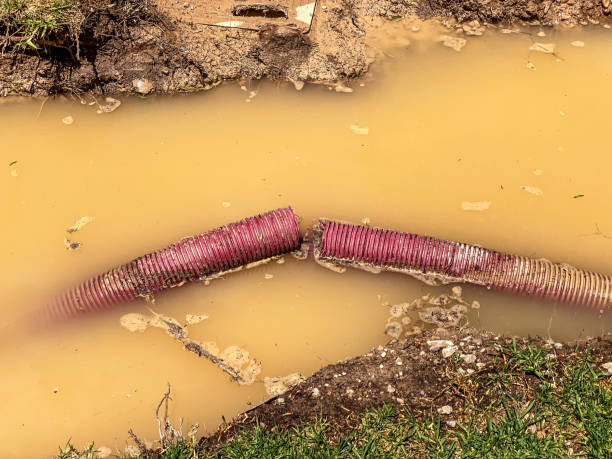 Best Professional water damage repair  in French Valley, CA